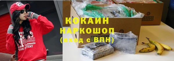 МДПВ Вяземский