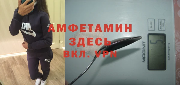 МДПВ Вяземский