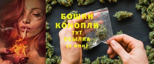 МДПВ Вяземский